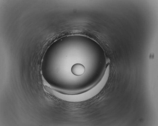 X0000112431441200908281851