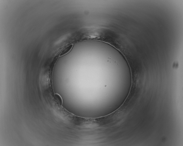 X0000112431442200908281851