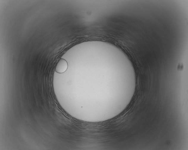 X0000112431443200908281851