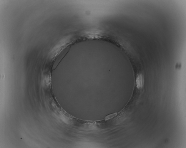 X0000112431444200908281851