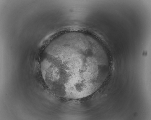 X0000112431446200908281851