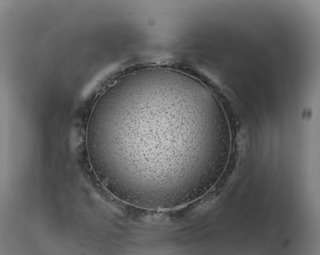 X0000112431447200908281851