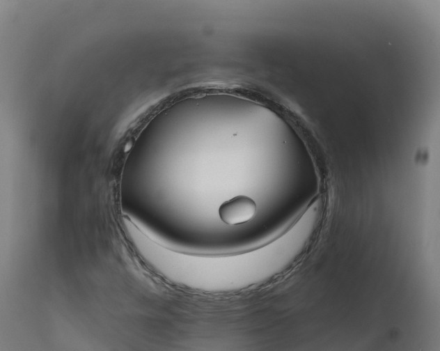 X0000112431448200908281851