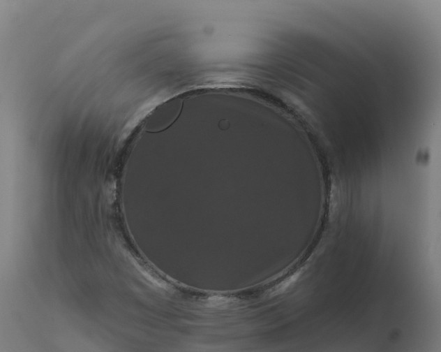 X0000112431449200908281851