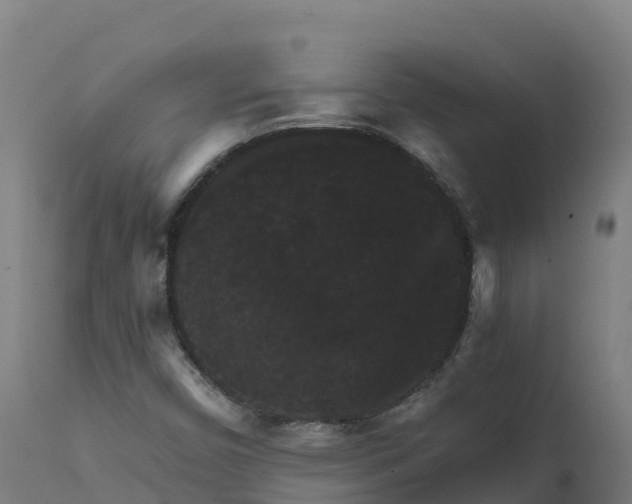 X0000112431450200908281851