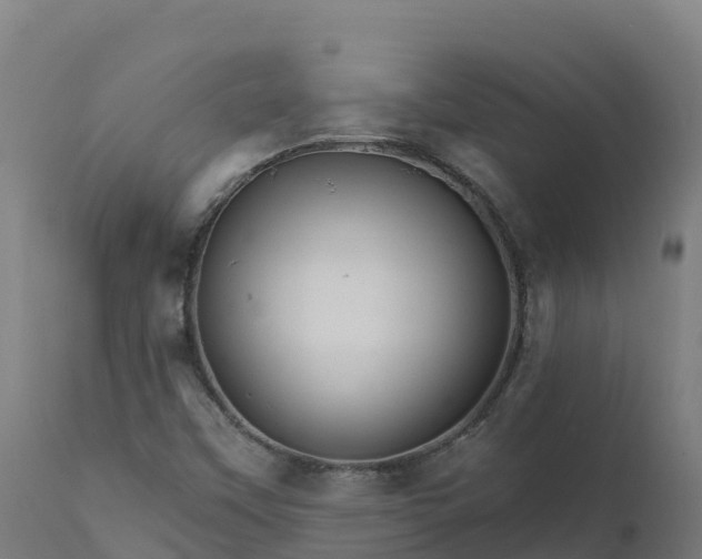 X0000112431451200908281851