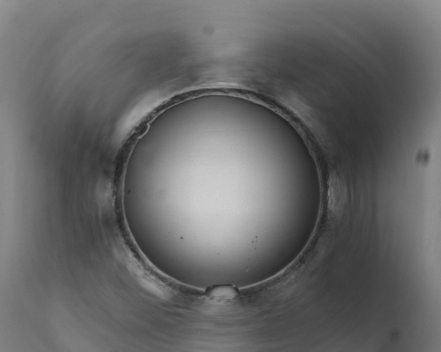 X0000112431452200908281850