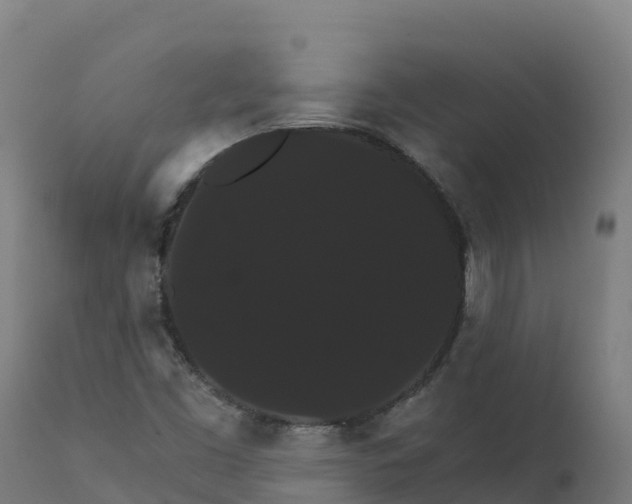 X0000112431453200908281850