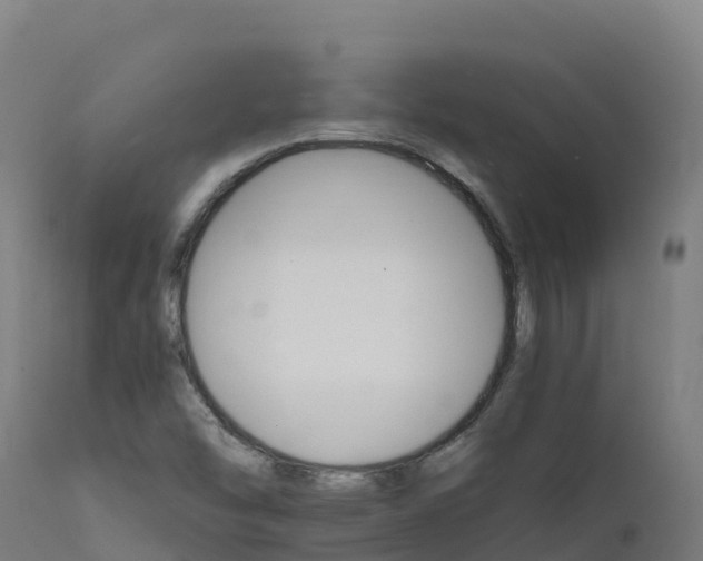 X0000112431454200908281850