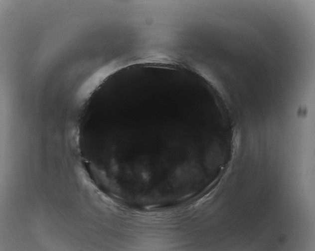 X0000112431455200908281850