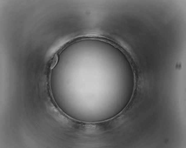 X0000112431456200908281850