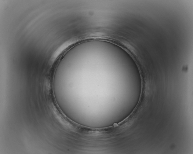 X0000112431458200908281850