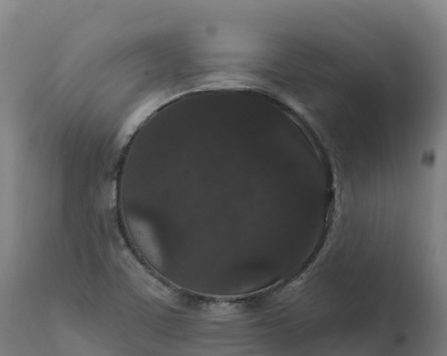 X0000112431459200908281850