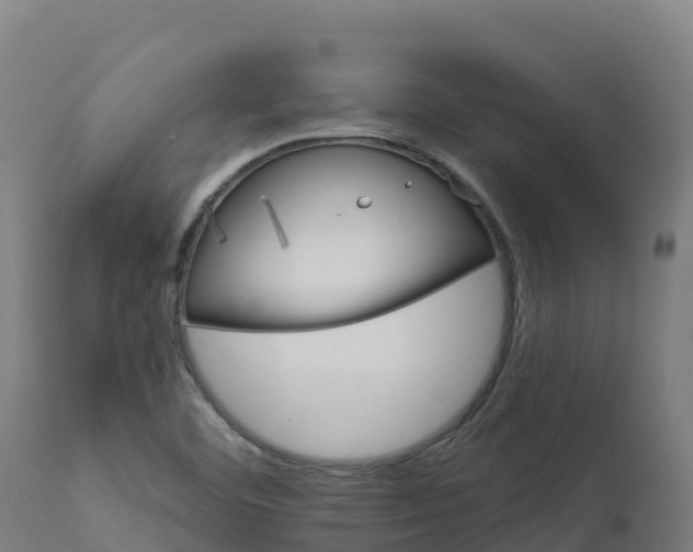 X0000112431460200908281850