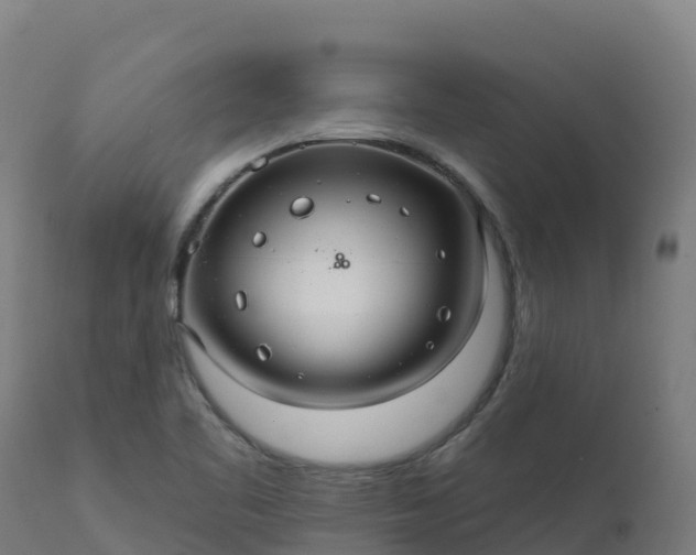 X0000112431461200908281850