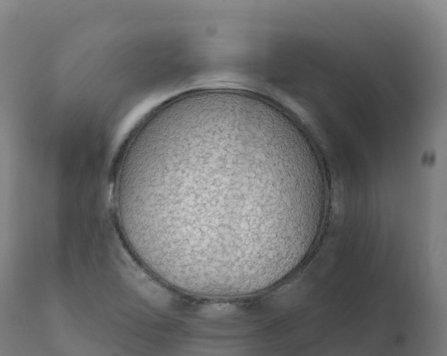 X0000112431462200908281850