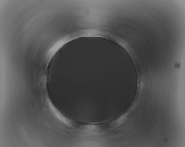 X0000112431463200908281850