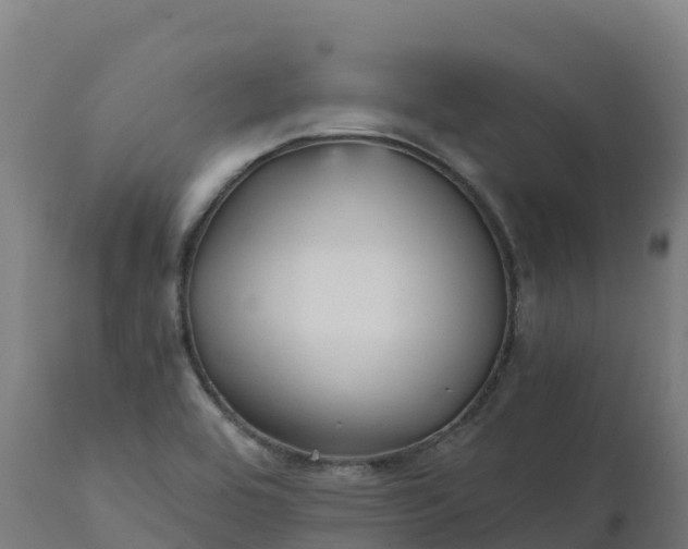X0000112431464200908281850