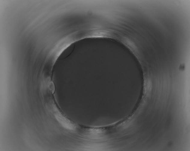 X0000112431465200908281850