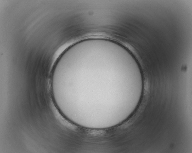 X0000112431466200908281850