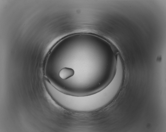 X0000112431468200908281850