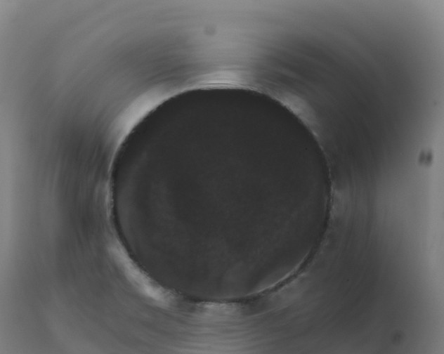X0000112431469200908281850