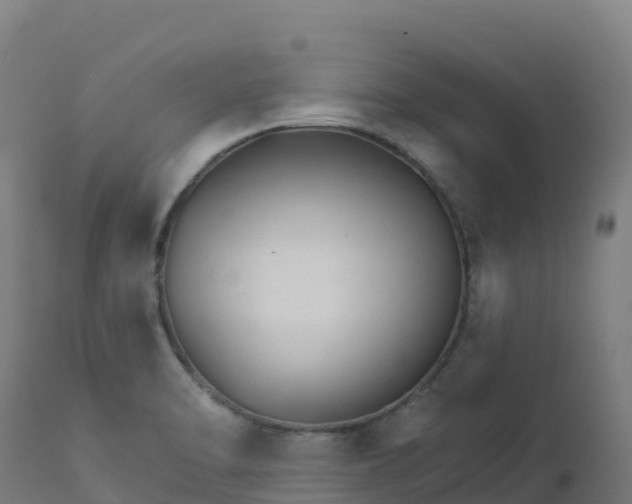 X0000112431470200908281850