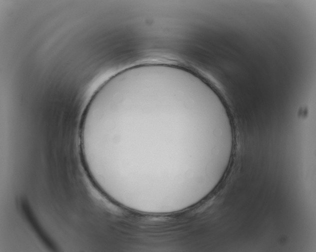 X0000112431471200908281850