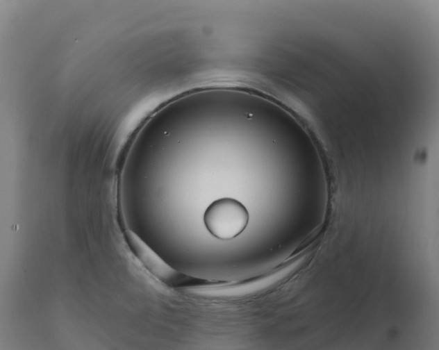 X0000112431472200908281850