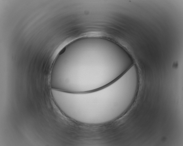 X0000112431473200908281850