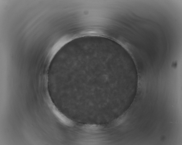 X0000112431474200908281850