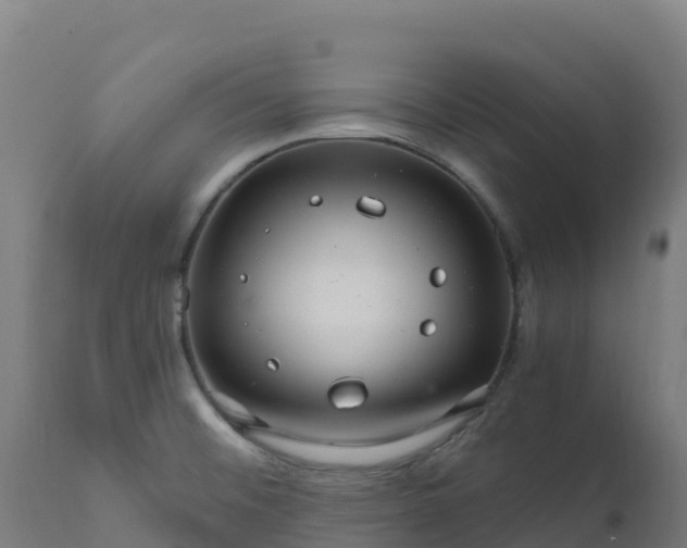 X0000112431476200908281850