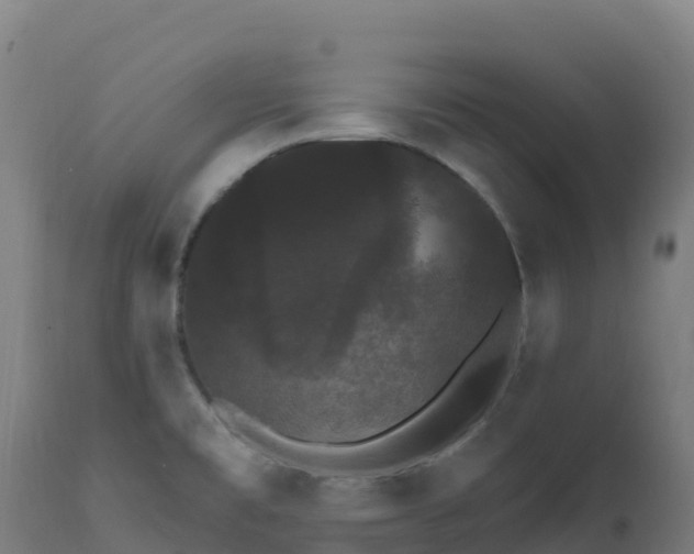 X0000112431477200908281850