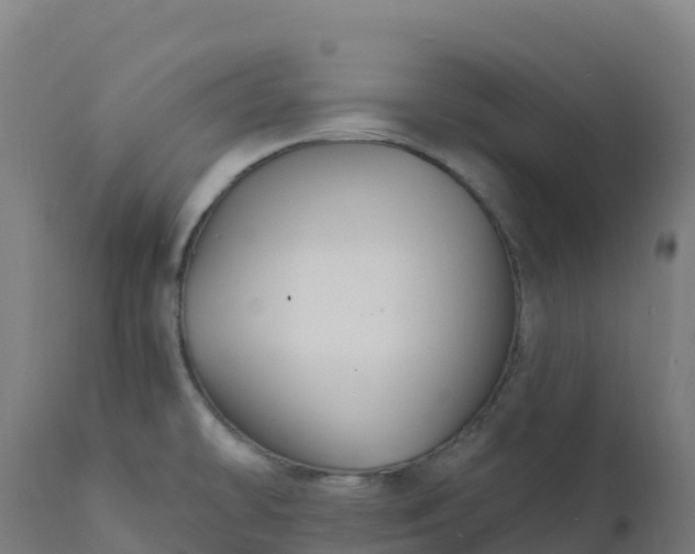 X0000112431478200908281850