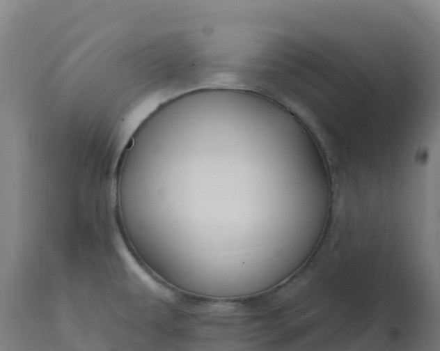 X0000112431479200908281850