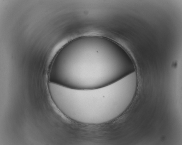 X0000112431480200908281850