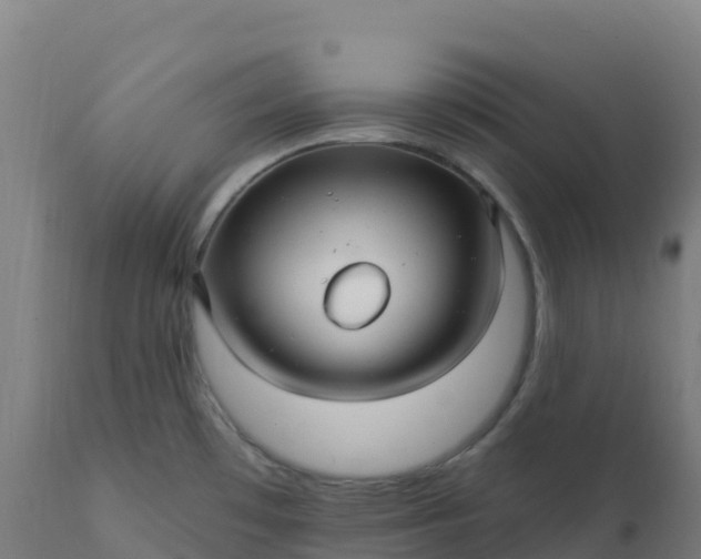 X0000112431481200908281850