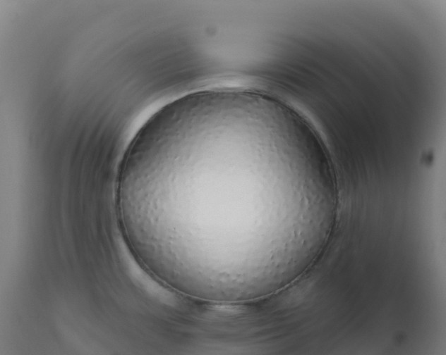 X0000112431483200908281850