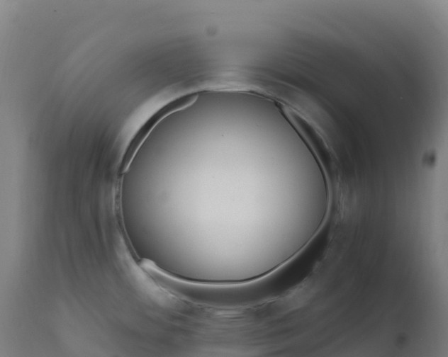 X0000112431484200908281850