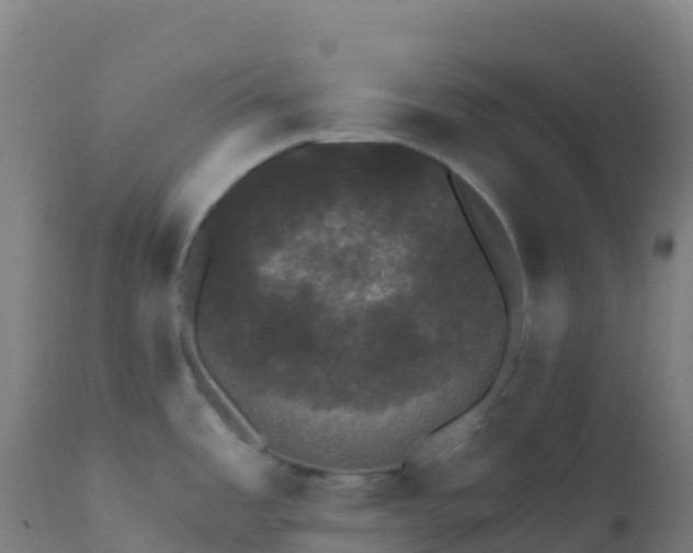X0000112431485200908281850