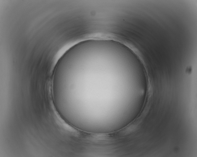 X0000112431486200908281850