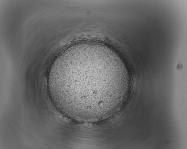 X0000112431489200908281849