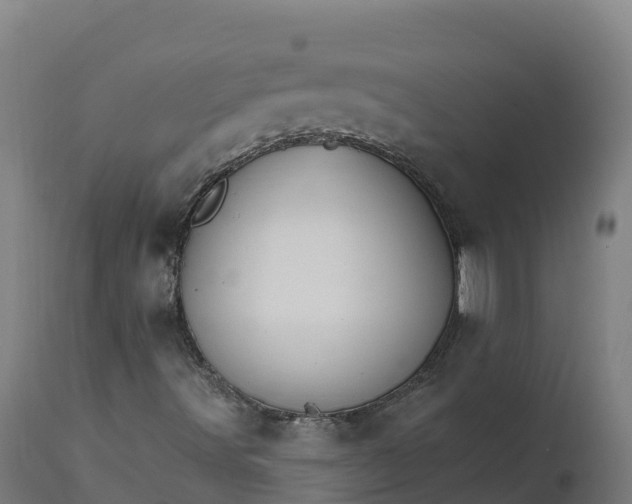 X0000112431491200908281849