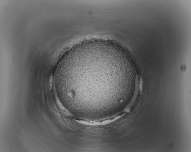 X0000112431492200908281849