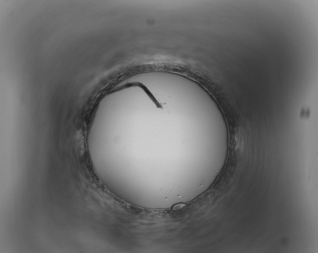 X0000112431493200908281849