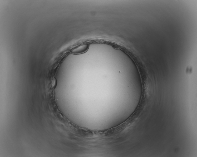 X0000112431494200908281849