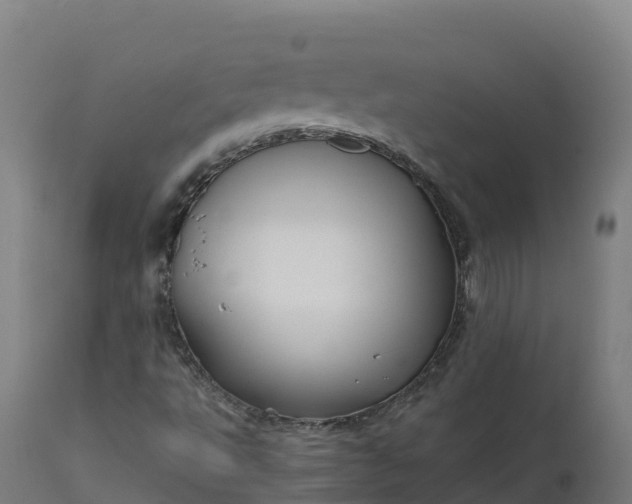 X0000112431495200908281849