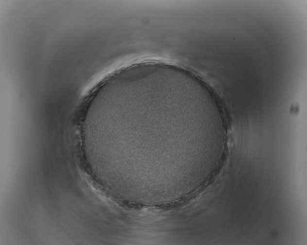 X0000112431496200908281849