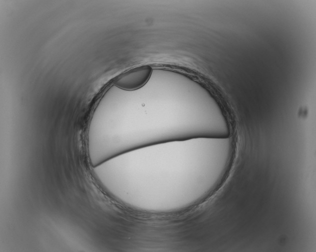 X0000112431497200908281849