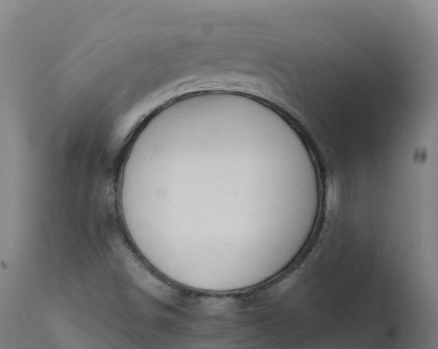 X0000112431498200908281849